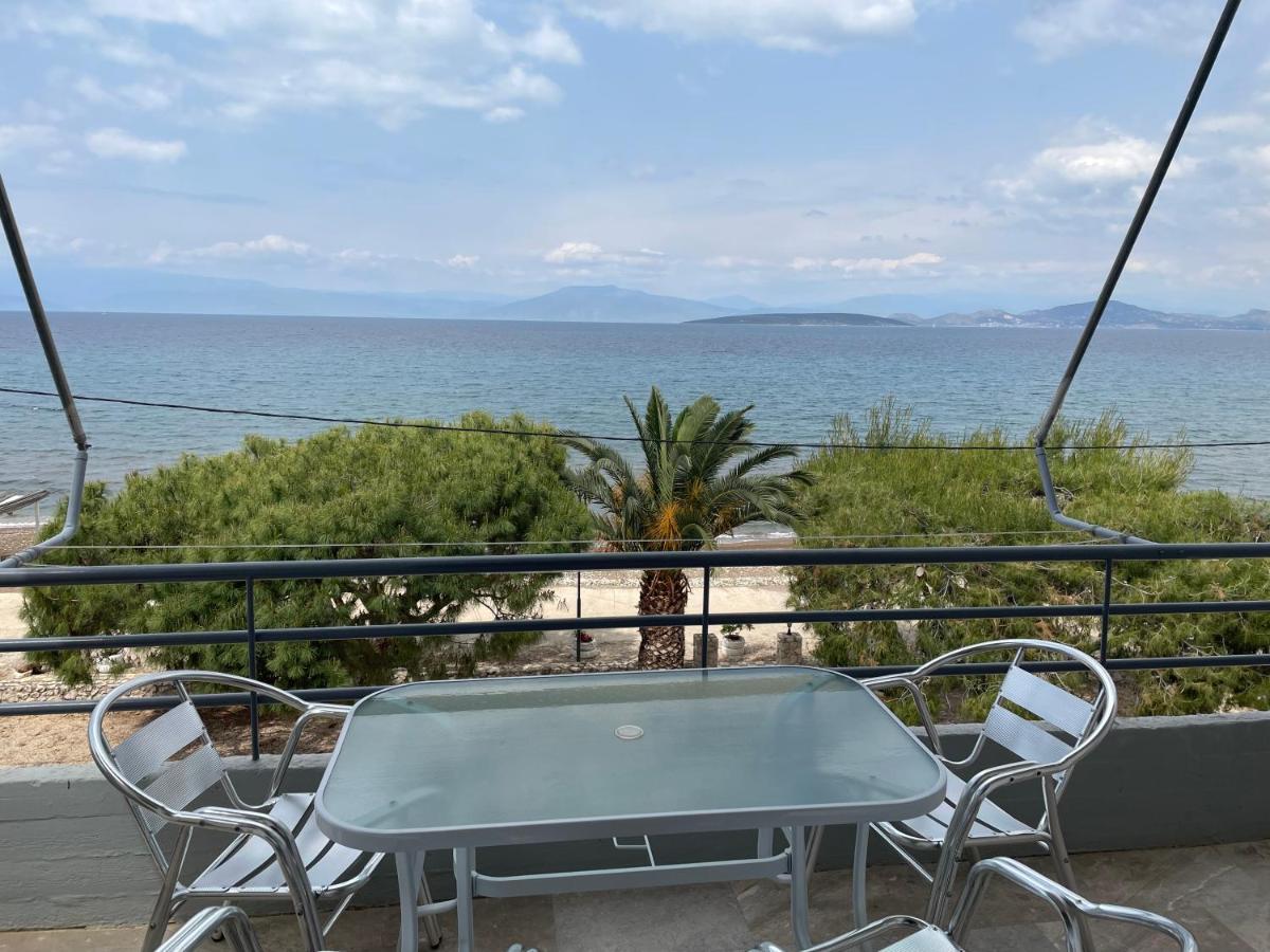 Finikas Appartement Iria Buitenkant foto